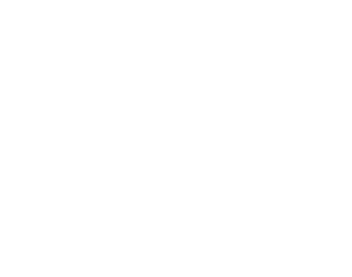 Gisele Pontelli Collection