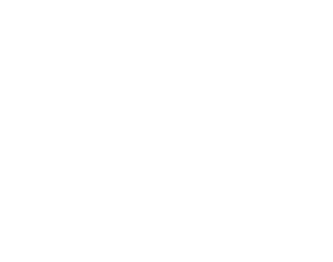 Gisele Pontelli Collection