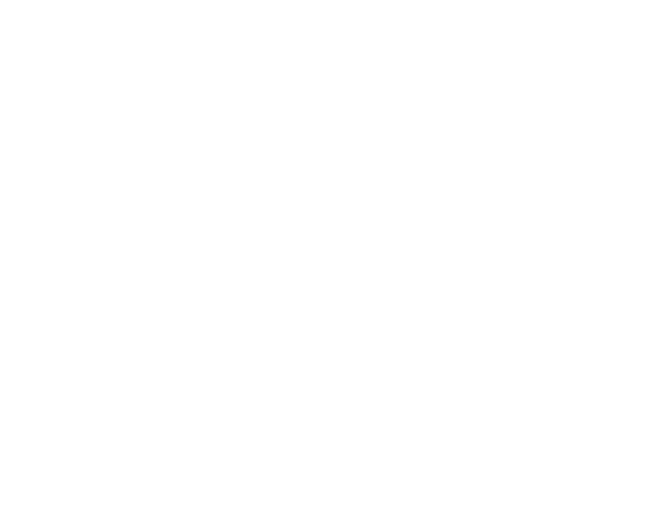 Gisele Pontelli Collection