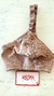 CORPIÑO REDUCTOR ALGODON BRIGITTE - comprar online