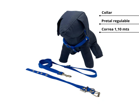 KIT DE PASEO