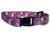 COLLARES REGULABLES en internet