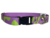 COLLARES REGULABLES - comprar online