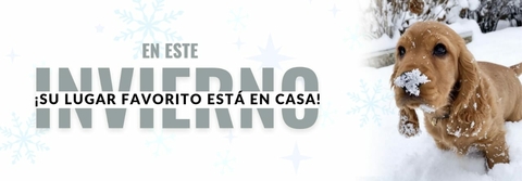 Carrusel 1