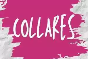 Marca 5 de Tails Mascotas