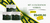 Imagem do banner rotativo Olivie Vida e Nutrição