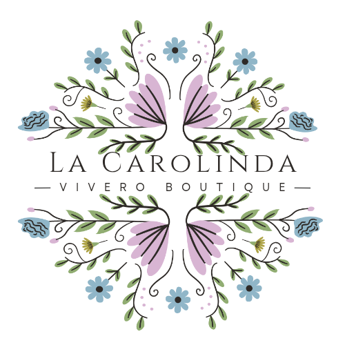 La Carolinda.vivero