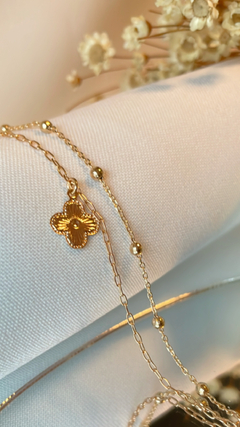PULSEIRA TREVINHO na internet