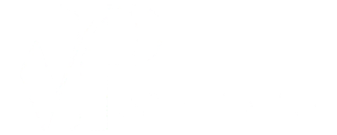 Pandyque Importadora