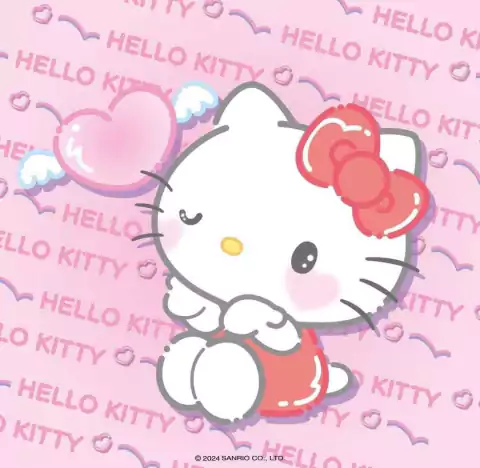 My Kitty Clothes