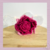 Boneca Flor - comprar online