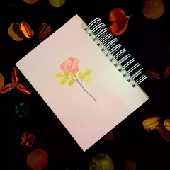 Magias de Amor - E-book - loja online