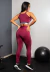 Conjunto Fitness Calça Legging Cintura Alta + Cropped Alcinha Marsala com Elásticos | REF: CCA5 - comprar online