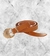 CINTURON ZAPHIR - comprar online