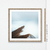 BARRIER - loja online