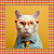 HIPSTER CUTE CAT - comprar online