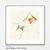 PIPAS - comprar online