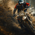WILD SPEED - comprar online