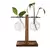 Vaso Plantas Hidropônicas ,Vaso De Vidro Decoração Sala Rack Mesa de Centro - Lojas Tudo Barato 