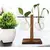 Vaso Plantas Hidropônicas ,Vaso De Vidro Decoração Sala Rack Mesa de Centro - comprar online