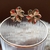 Brinco Flor Baby Brilho - comprar online