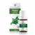 Óleo Essencial Orégano 5mL - Phytoterápica - comprar online