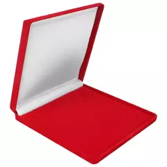 Estojo veludo G