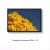 Quadro Decorativo Ipês - Ipê Amarelo 07, Brasília - comprar online