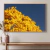 Quadro Decorativo Ipês - Ipê Amarelo 07, Brasília