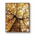 Quadro Decorativo Ipês - Ipê Amarelo 19, Brasília na internet