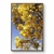 Quadro Decorativo Ipês - Ipê Amarelo 20, Brasília na internet