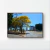 Quadro Decorativo Ipês - Ipê Amarelo 26, Brasília na internet