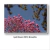 Quadro Decorativo Ipês - Ipê Roxo #07, Brasília - comprar online