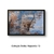 Quadro Decorativo Índia - Rajastão 13 na internet