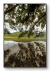 Quadro Decorativo llha de Santa Catarina 02 na internet