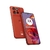 Imagen de Motorola Edge 50 NEO 512 GB