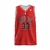 CHICAGO BULLS 33 PIPPEN ADULTOS - CAMISETA BASQUET KAPHO - comprar online