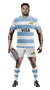 LOS PUMAS LAURELES ADULTOS - CAMISETA RUGBY KAPHO - KAPHO INDUMENTARIA