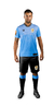 Imagen de URUGUAY TIT 9 SUAREZ NIÑOS - CAMISETA FUTBOL KAPHO