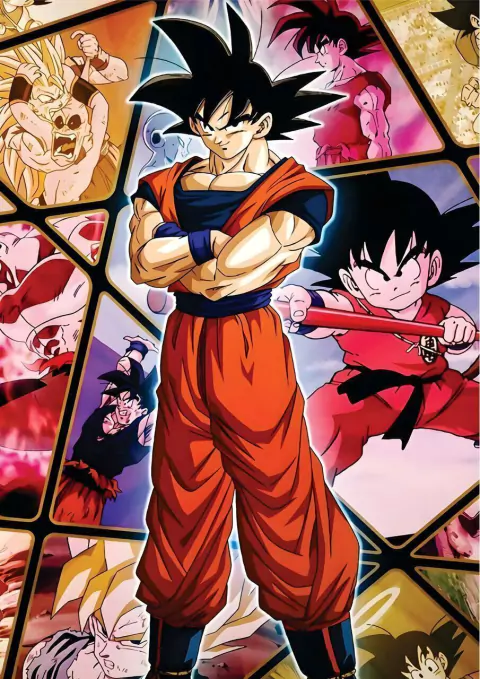 QUADRO ANIME 24