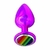 Plug Anal De Metal Pequeno Pride Lgbt Hard - comprar online