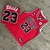 jersey buena calidad totalmente bordado bulls 23 rojo