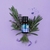 ACEITE PARA HORNILLOS SAGRADA MADRE 10ml - comprar online