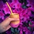 MATE MIJO - tienda online