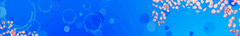 Banner da categoria Heloisa Rosa