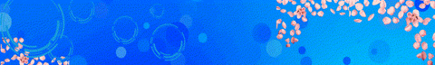 Banner da categoria Heloisa Rosa