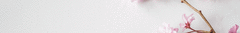 Banner da categoria Léa Mendonça