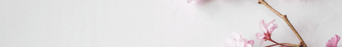 Banner da categoria Léa Mendonça