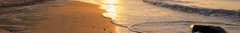 Banner da categoria Ton Carfi