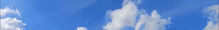 Banner da categoria Projeto Vida Nova de New Jersey